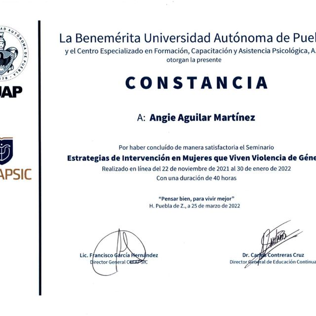 Ampliar imagen: certificate 2