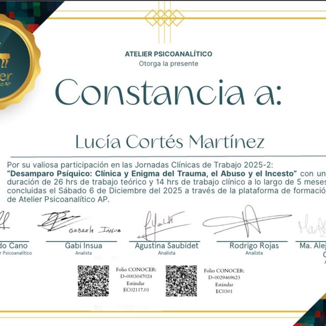 Ampliar imagen: certificate 1