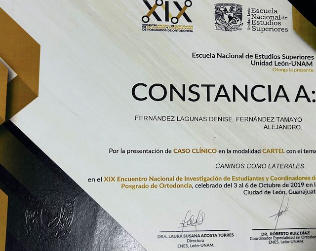 Ampliar imagen: certificate 20