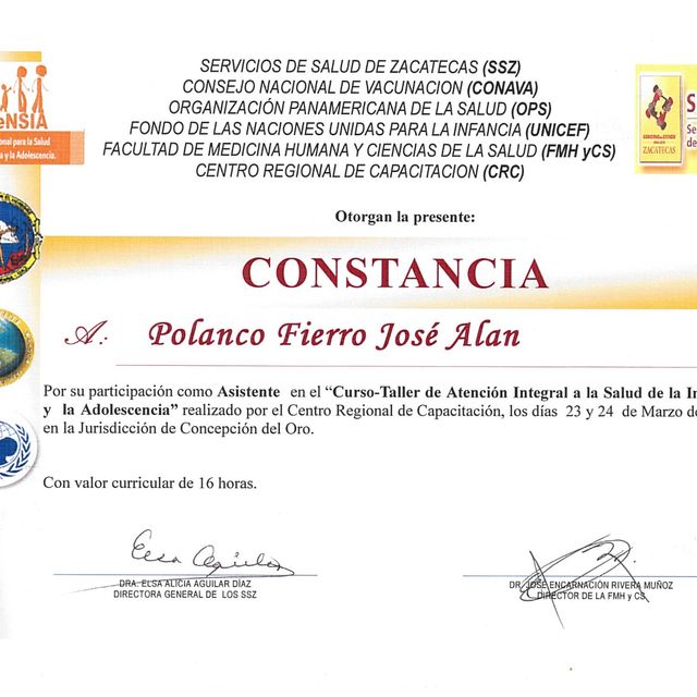 Ampliar imagen: certificate 43