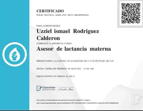 Ampliar imagen: certificate 2