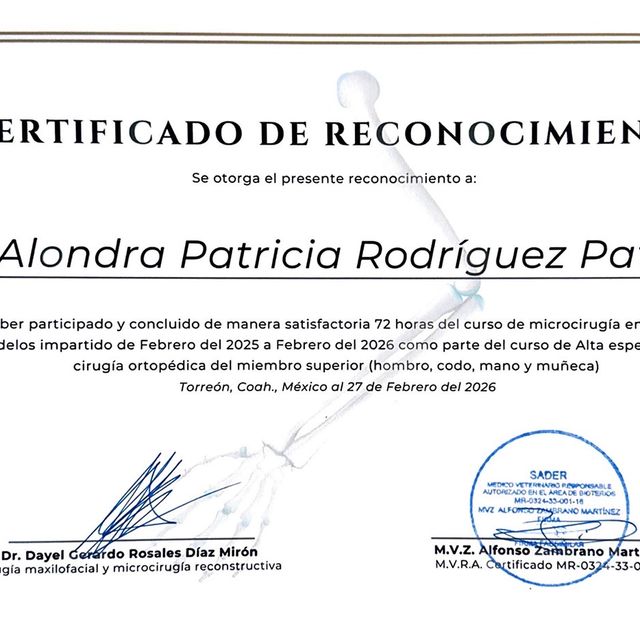 Ampliar imagen: certificate 1