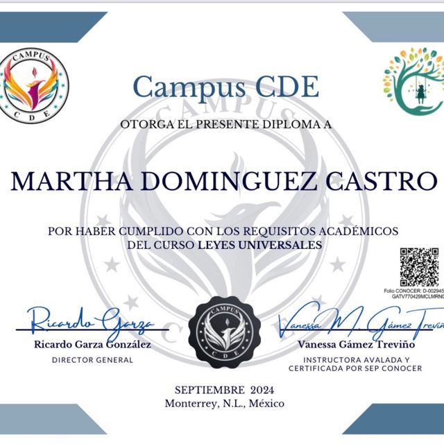 Ampliar imagen: certificate 2
