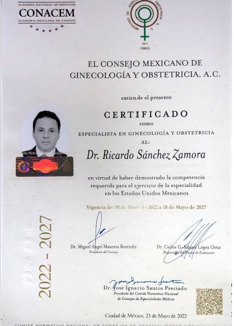 Ampliar imagen: certificate 1