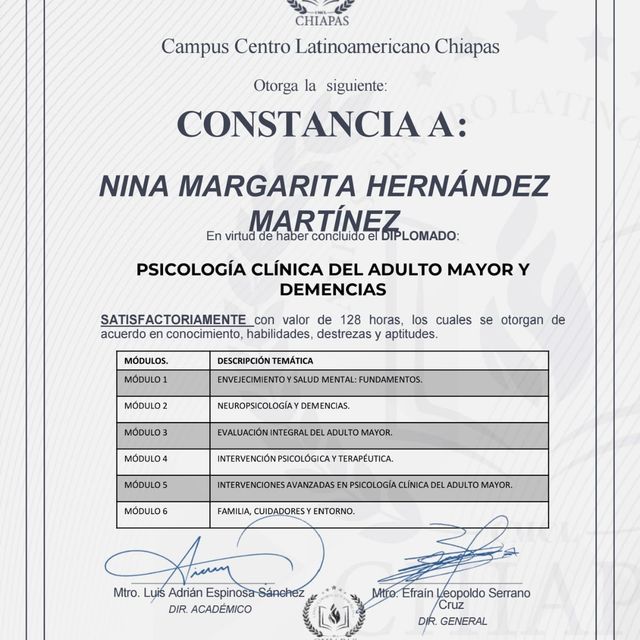 Ampliar imagen: certificate 25