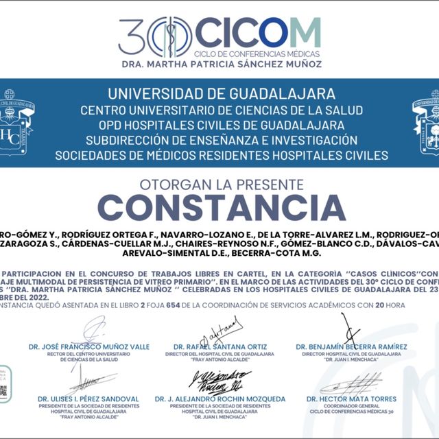 Ampliar imagen: certificate 14
