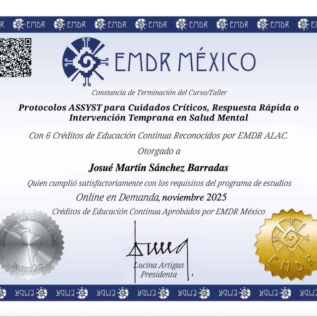 Ampliar imagen: certificate 4