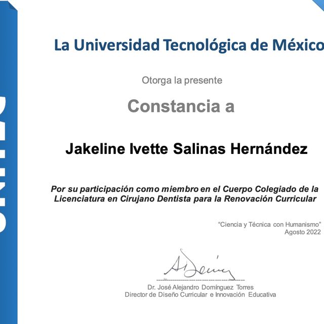 Ampliar imagen: certificate 9