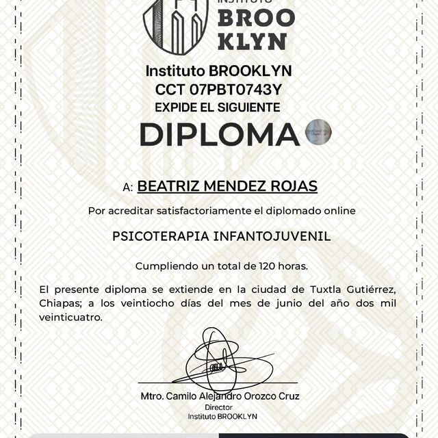 Ampliar imagen: certificate 2