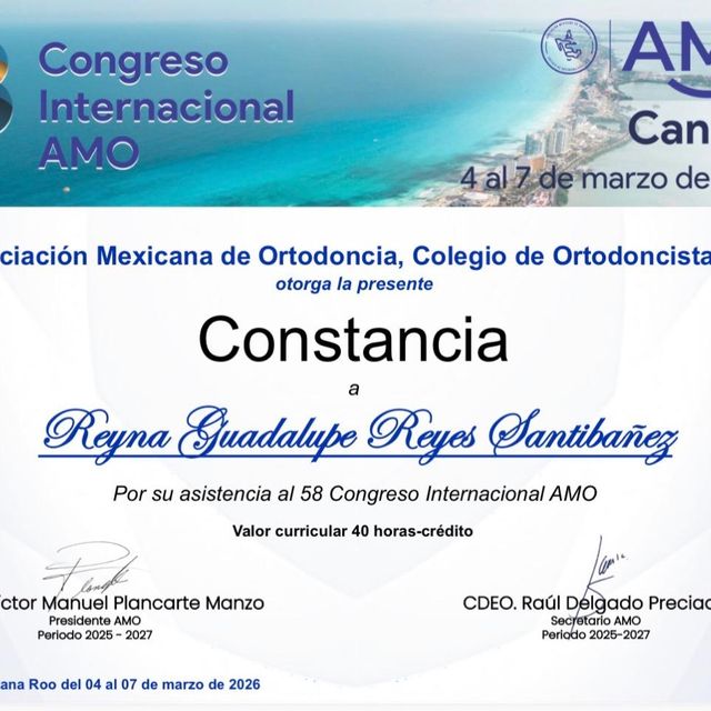 Ampliar imagen: certificate 3