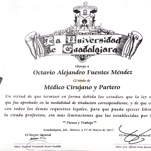 Ampliar imagen: certificate 5