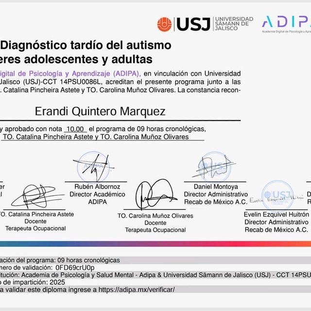 Ampliar imagen: certificate 10