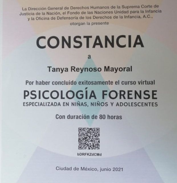 Ampliar imagen: certificate 4