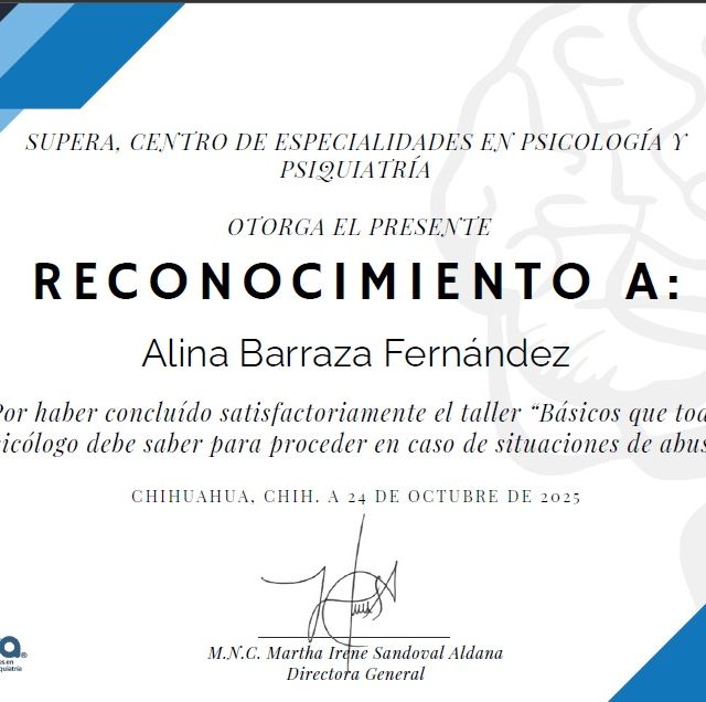 Ampliar imagen: certificate 4
