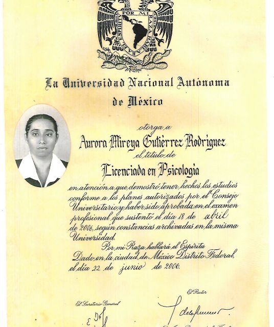 Ampliar imagen: certificate 11