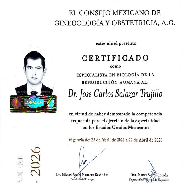 Ampliar imagen: certificate 2