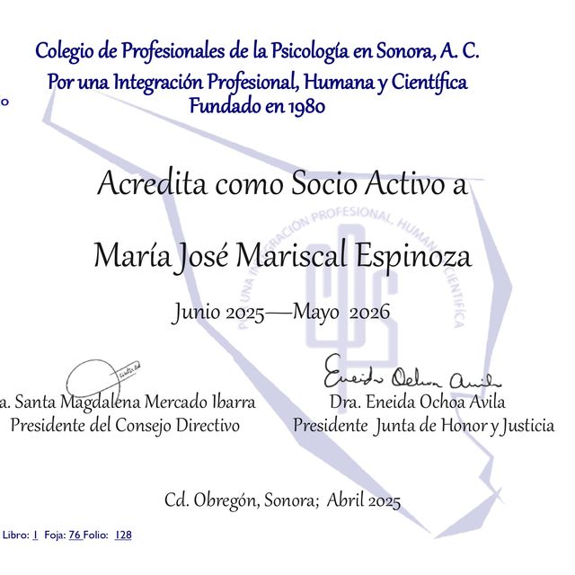 Ampliar imagen: certificate 9