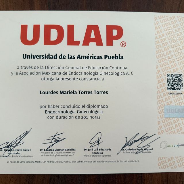 Ampliar imagen: certificate 9