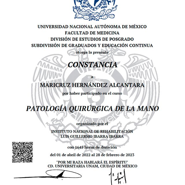 Ampliar imagen: certificate 2