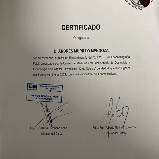 Ampliar imagen: certificate 4