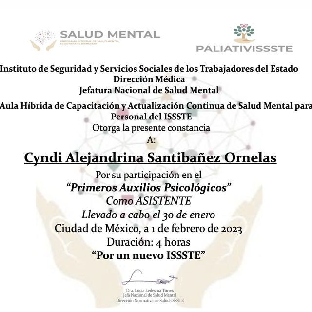 Ampliar imagen: certificate 2