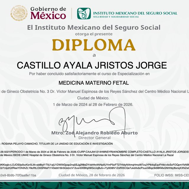 Ampliar imagen: certificate 4