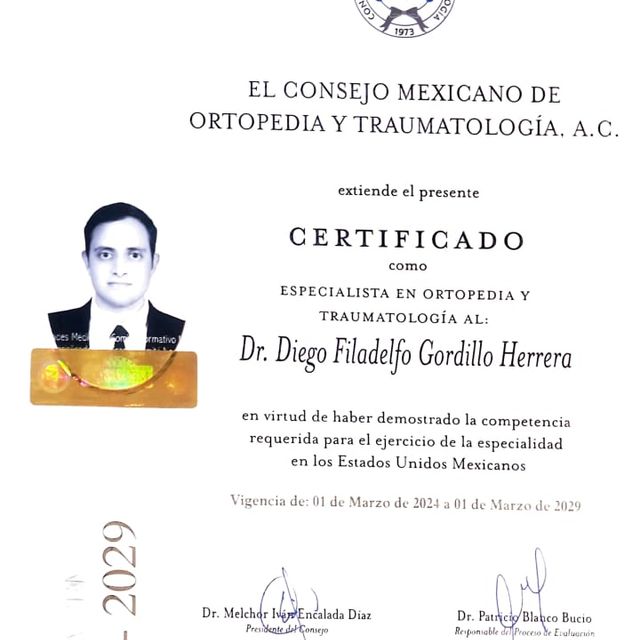 Ampliar imagen: certificate 5