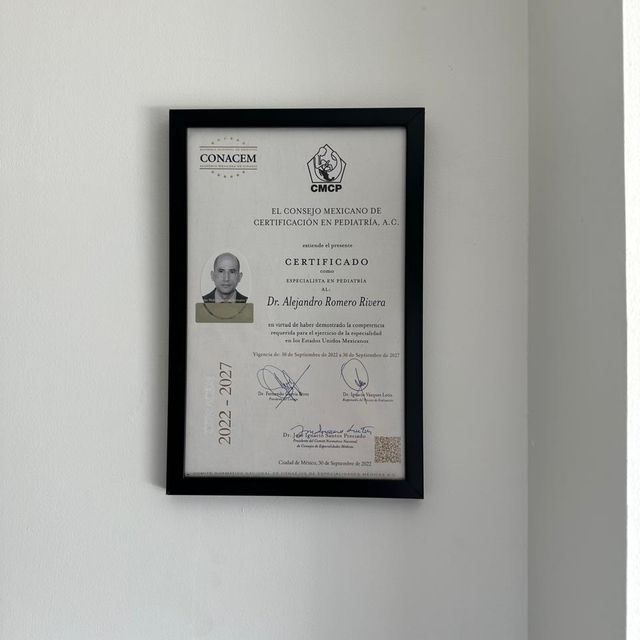 Ampliar imagen: certificate 4