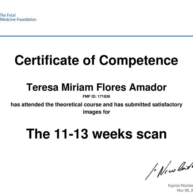 Ampliar imagen: certificate 1