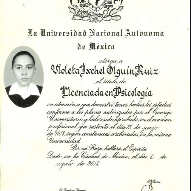Ampliar imagen: certificate 1