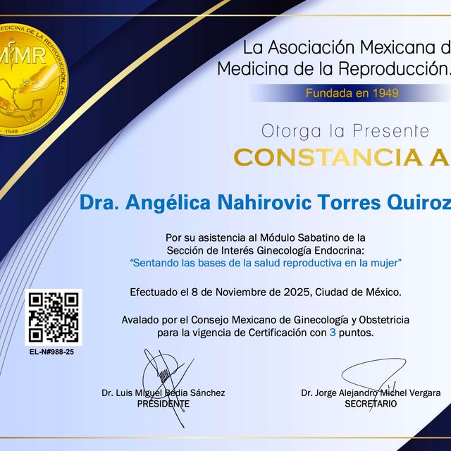 Ampliar imagen: certificate 4
