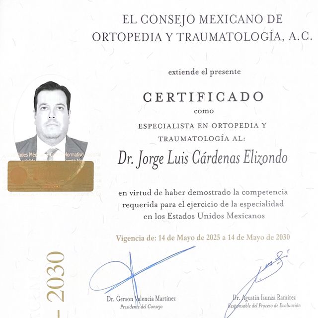 Ampliar imagen: certificate 2