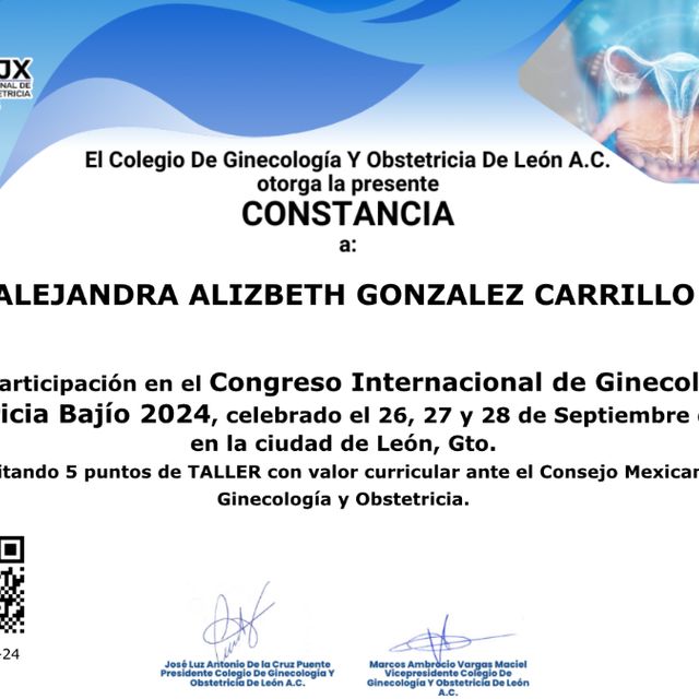 Ampliar imagen: certificate 2