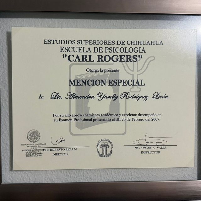 Ampliar imagen: certificate 2