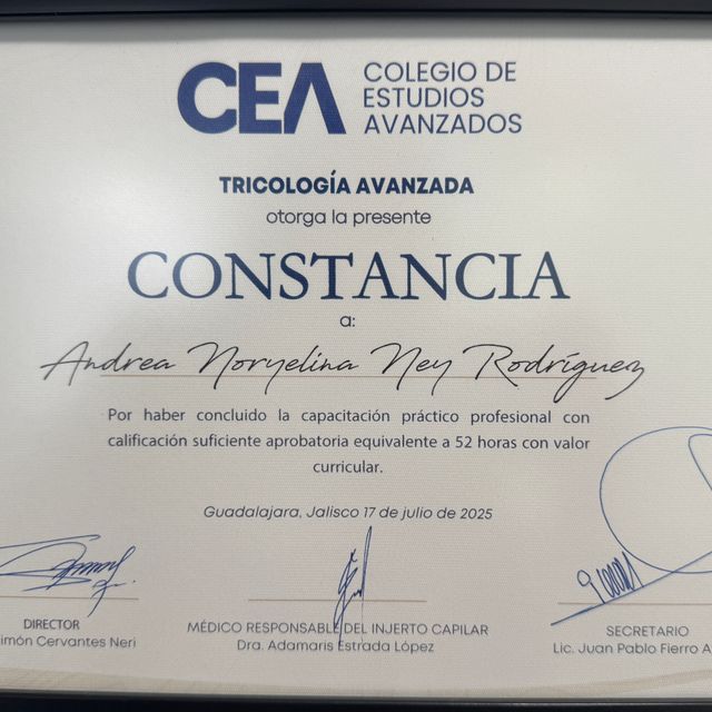 Ampliar imagen: certificate 5
