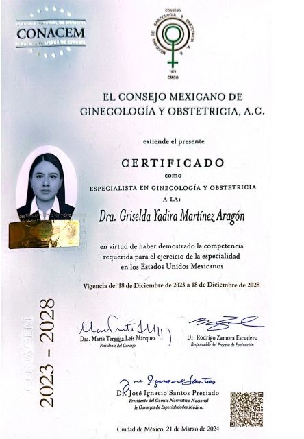 Ampliar imagen: certificate 3