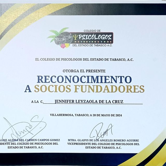 Ampliar imagen: certificate 25