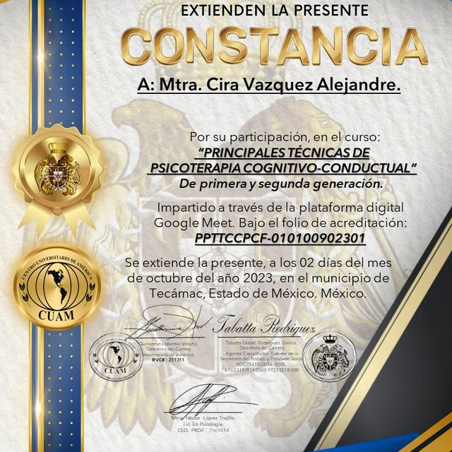 Ampliar imagen: certificate 1