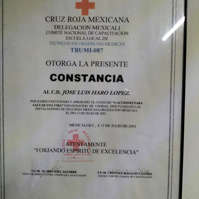 Ampliar imagen: certificate 1
