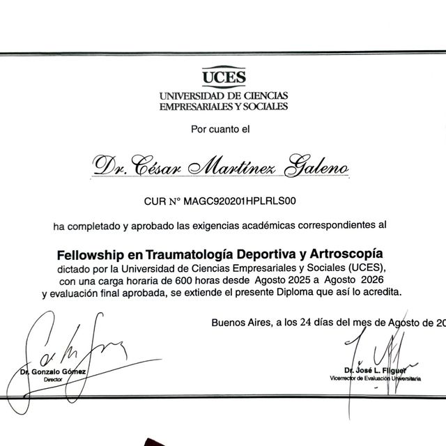 Ampliar imagen: certificate 16