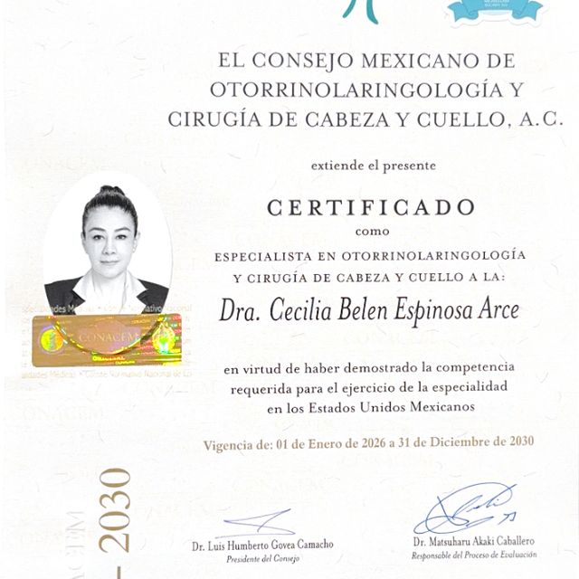 Ampliar imagen: certificate 5
