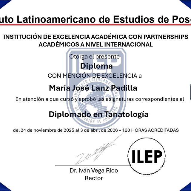 Ampliar imagen: certificate 3