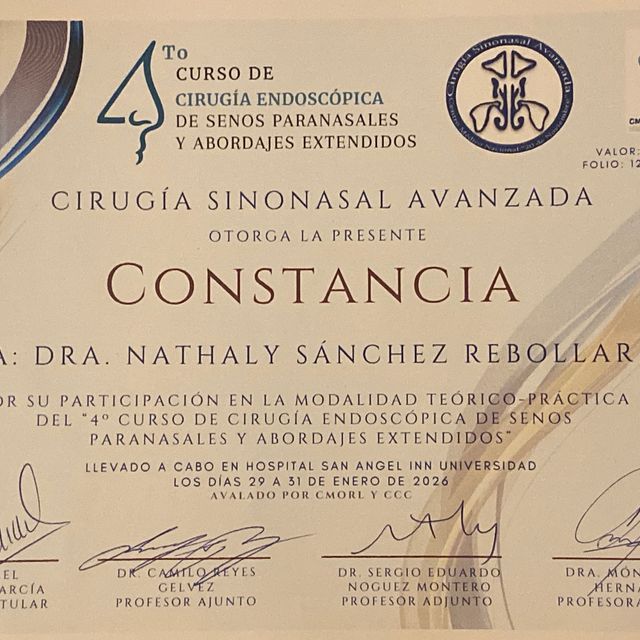 Ampliar imagen: certificate 2
