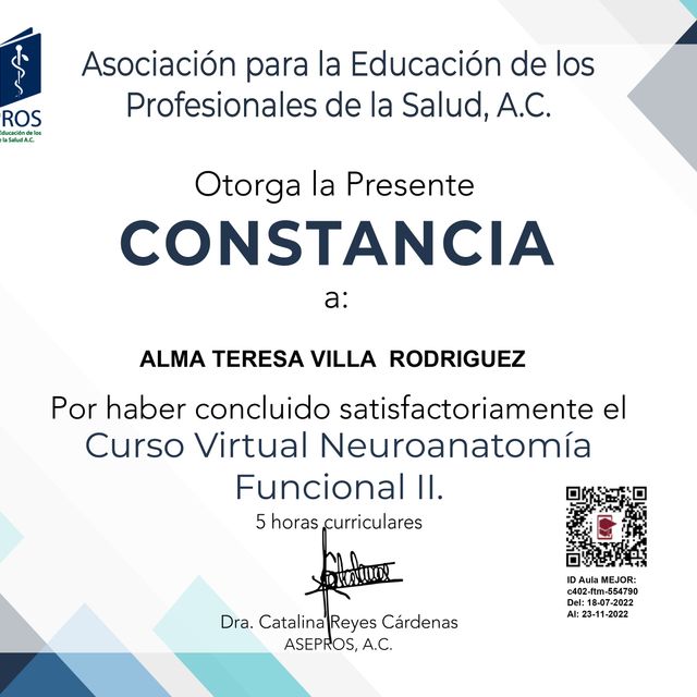 Ampliar imagen: certificate 5