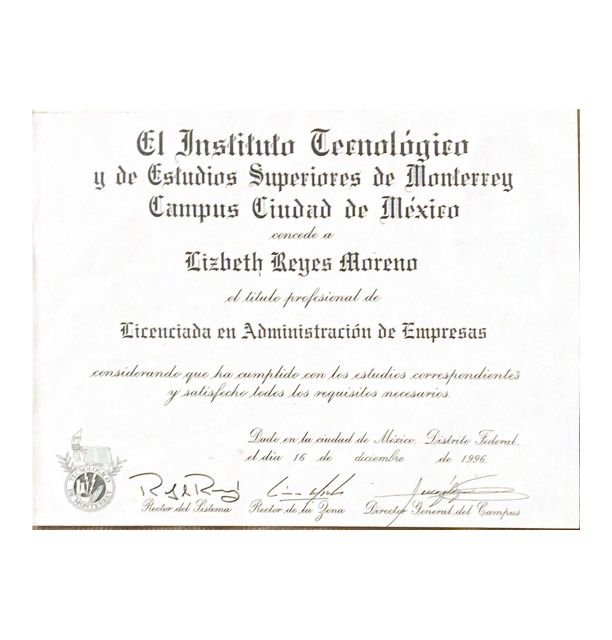 Ampliar imagen: certificate 3