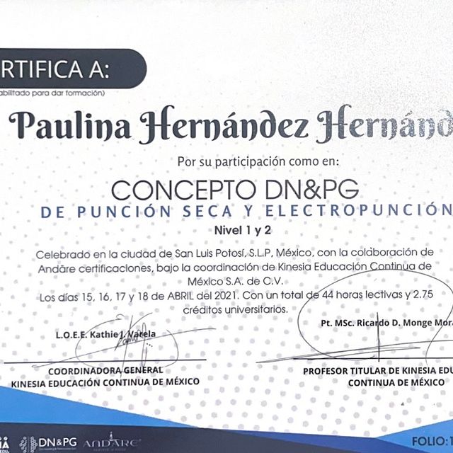Ampliar imagen: certificate 3