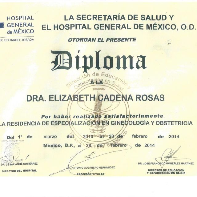 Ampliar imagen: certificate 5