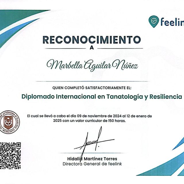 Ampliar imagen: certificate 14