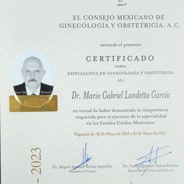 Ampliar imagen: certificate 26