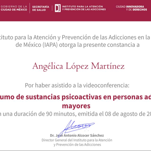Ampliar imagen: certificate 1